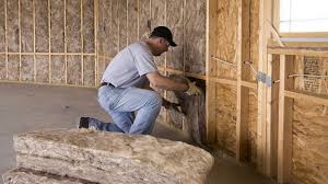 Best Crawl Space Insulation  in Syracuse, KS