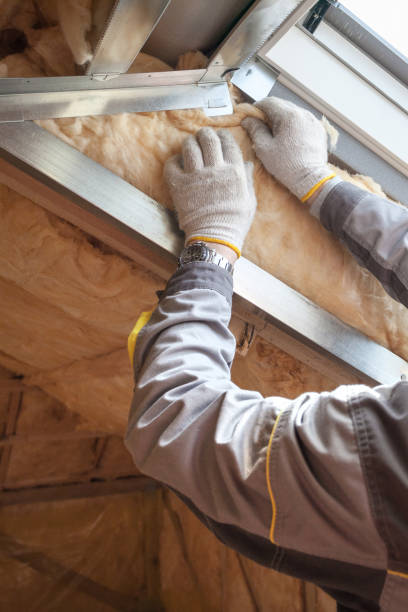 Best Fireproof Insulation  in Syracuse, KS