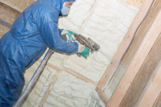 Best Garage Insulation  in Syracuse, KS