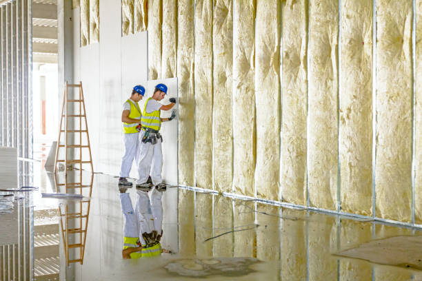 Best Spray Foam Insulation  in Syracuse, KS